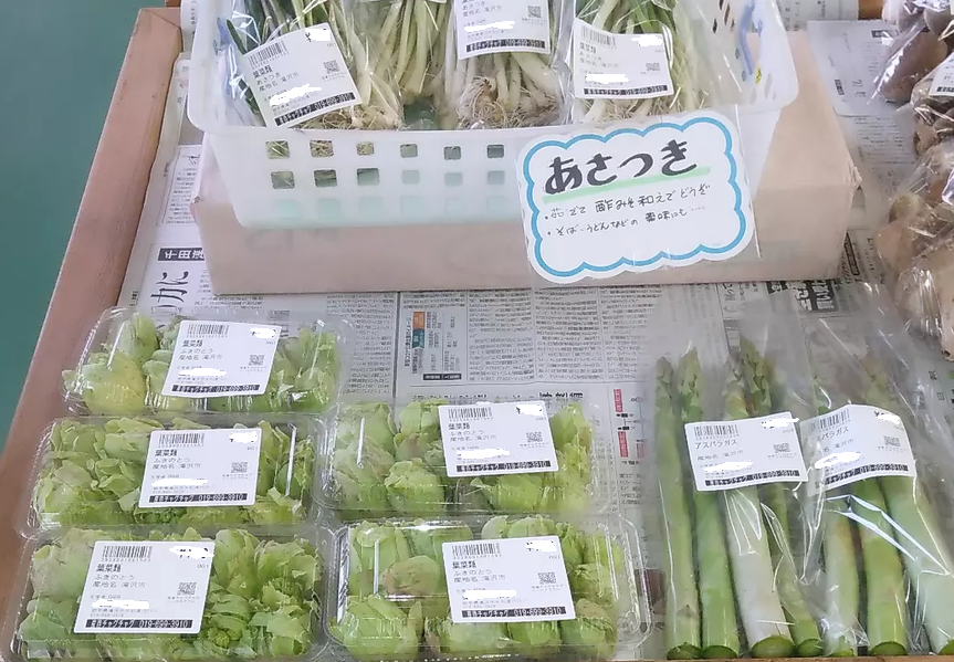 春先の山菜